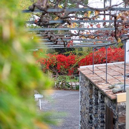 Ourmadeira - Loja Da Lenha, Charming Apartment Funchal  Bagian luar foto