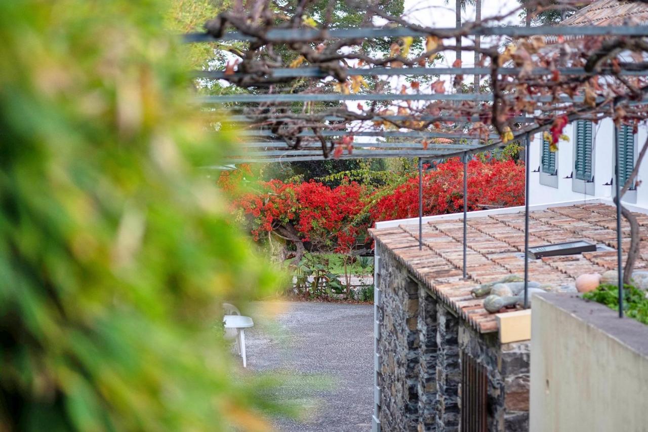 Ourmadeira - Loja Da Lenha, Charming Apartment Funchal  Bagian luar foto