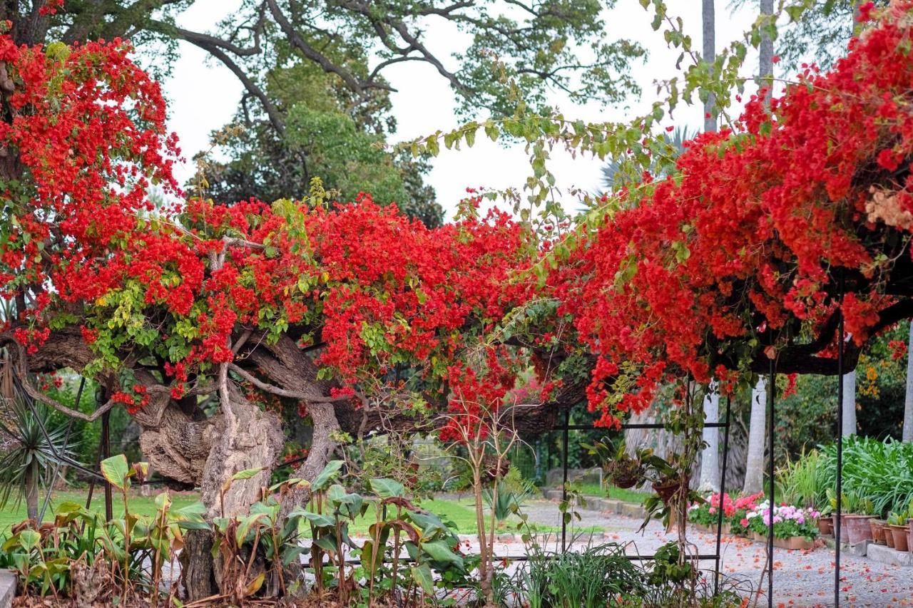 Ourmadeira - Loja Da Lenha, Charming Apartment Funchal  Bagian luar foto