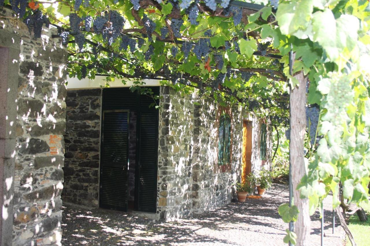 Ourmadeira - Loja Da Lenha, Charming Apartment Funchal  Bagian luar foto